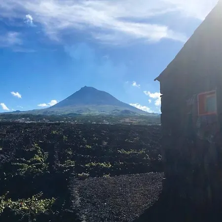 Ocean View In Unesco Heritage Site Criacao Velha