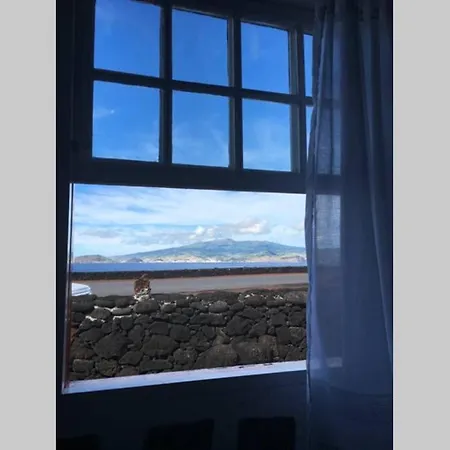 Ocean View In Unesco Heritage Site Criacao Velha