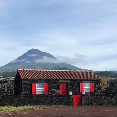 Ocean View In Unesco Heritage Site Criacao Velha