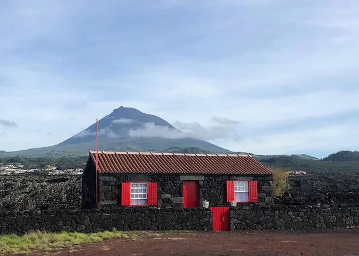 Ocean View In Unesco Heritage Site Criacao Velha
